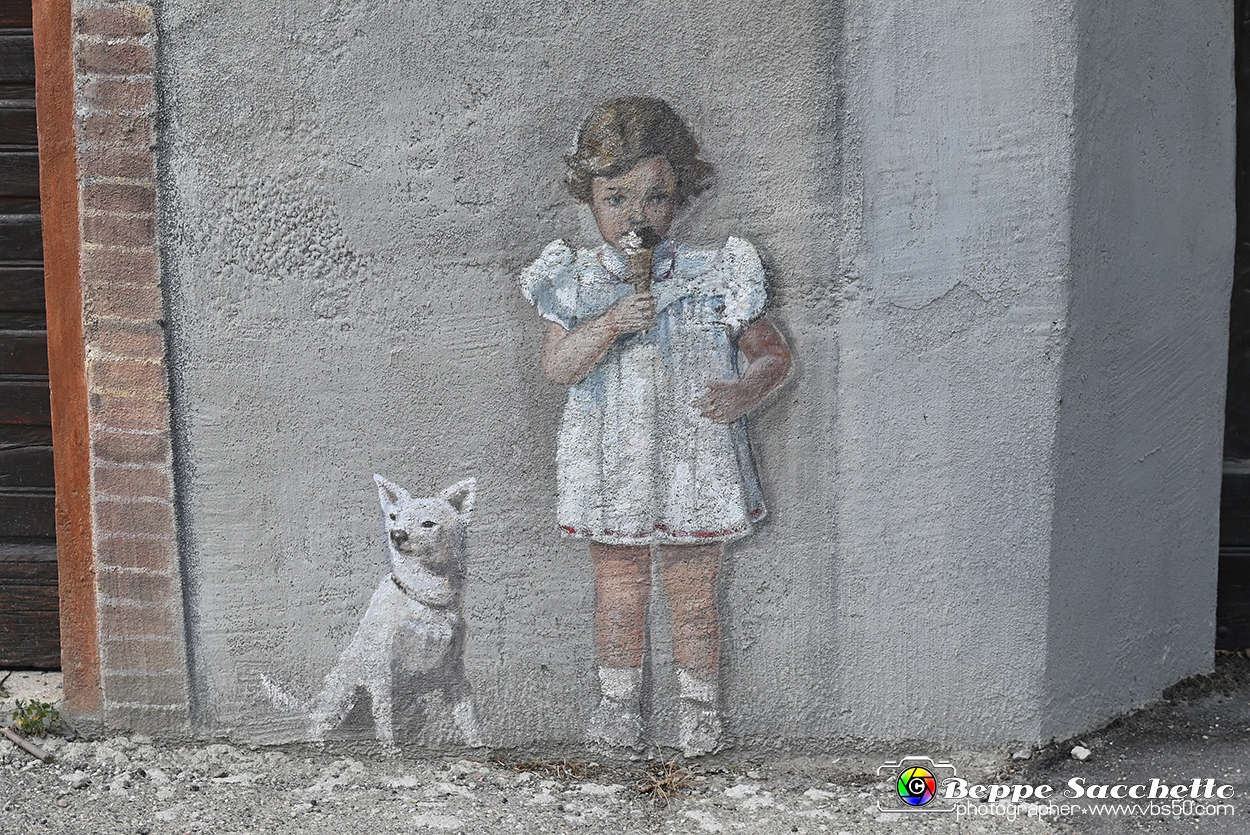 VBS_3765 - Fontanile (Asti) - Murales di Luigi Amerio.jpg